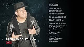 La Banda de Lechuga - Te vi │ Video Lyric