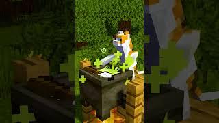 Calico cooking soup went wrong  Minecraft Animation