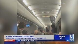American Airlines flight to O.C. diverted to Denver after passenger attacks flight attendant