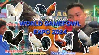 World Gamefowl Expo 2024oLoyTV - Bloodline and Price Part2