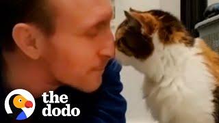 Guy And Cat Have Been Inseparable For 23 Years  The Dodo Soulmates