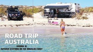 BEACH CAMPS ON THE NINGALOO COAST ARE INSANE  ROADTRIP AUSTRALIA EP.10 