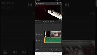 Hướng dẫn làm phim trên điện thoại với Adobe Premiere Rush