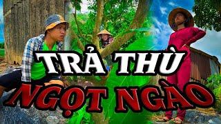 Trả Thù Ngọt Ngào #videogiaitri #vochongson #nguyenhuyvlog