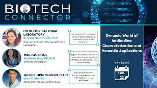 Biotech Connector Dynamic World of Antibodies Characterization and Versatile Applications