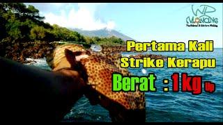 Mancing Pinggiran Pakai Minnow  Strike Kerapu Loreng 1 Kg Up  UL Casting  Lure Murah