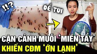 Ớn lạnh vì cảnh MUỖI BAY THÀNH ĐÀN cô gái liền nghe theo lời cđm và cái kết cực Chill  TB Trends