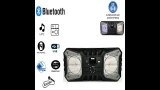 BOCINA BLUETOOTH RECARGABLE RFR234