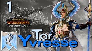 RISE OF THE GRIM WARDEN  Eltharion - Tor Yvresse  Total War Warhammer 3 Campaign #1