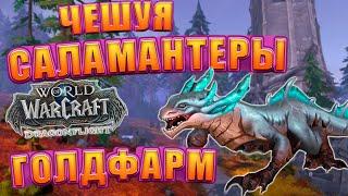 Снятие Шкур Соло Заработок Золота WoW Dragonflight  Голдфарм