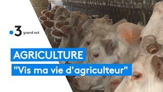 Agriculture  trois jeunes font le tour du Grand Est des agriculteurs