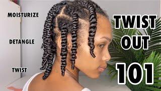 Twist Out 101 - Moisturize Detangle and Twist Like A Pro