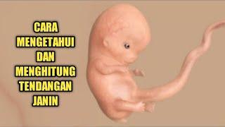 Cara Mengenali dan Menghitung Tendangan Bayi di Dalam Kandungan