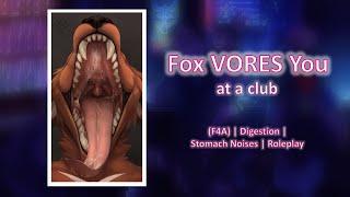 F4A Fox Vores You at a Club ASMR Roleplay - Digestion Sounds Burps Neko Listener Prey POV