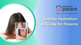 Toddler Hydration  A Guide for Parents