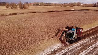 De Vries Cornjum BV  Wetland Machinery  Rietmaaien van productieriet