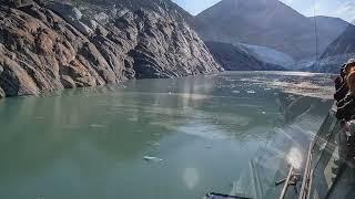 Alaska Cruise - Endicott Arm and Dawes Glacier