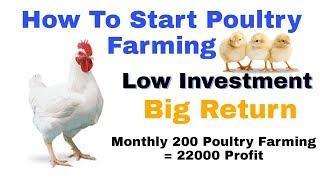 Low Investment Start Poultry Farming Big Profit