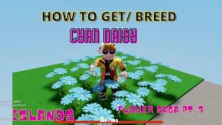 How to breed - GET CYAN DAISY  FERTILE CYAN DAISY - FLOWER SAGA pt.7 - islands - Roblox