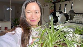 lofi asmr house and plant tour fairy char