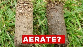 Compaction The #1 Reason Your Lawn Wont Grow