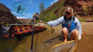 Fly Fishing the Green River - A Journey from A to C - Spinner Fall