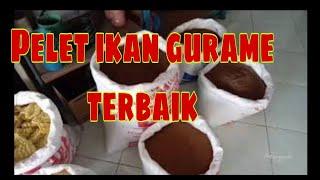 Pelet ikan gurame terbaik