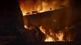 The Lion King 2019 - Last Fight Between Scar and Simba Final Scene