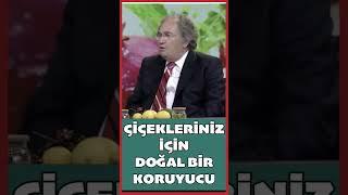 #çiçekbakımı #