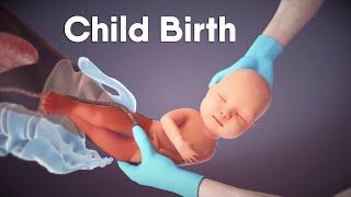 Labor And Delivery  Childbirth  Dandelion Medical Animation #labor