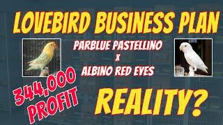 Parblue Pastelino into Albino Red Eyes Business Feasibility  how to produce creamino #parblue