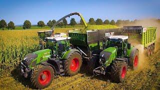 Mais 2020  LU Jumpers VOLL im EINSATZ  Jaguar 980  7 x Fendt  Fendt 942  3 x M.A.N  USA  4K