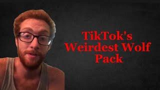 TikToks Weirdest Wolf Pack Is Scary  Wolfpack Elite