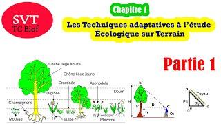 Les Techniques adaptatives à l’étude Écologique sur Terrain  Partie 1  SVT TC Biof