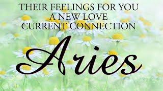 ARIES love tarot ️ This Person Will Prove To You That Their Intentions Are Pure And Real Aries