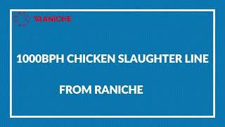 1000bph compact chicken slaughter line with Spiral pre chilling machine