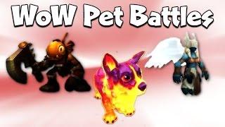 Molten Corgi Grommloc Unborn Valkyr Warcraft Pet Battles