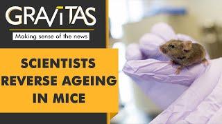 Gravitas A step closer to anti-ageing drugs