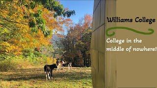 Location Location Location Williams College  Pros & Cons of a Rural College