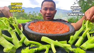 MAKAN BATANG PEPAYA MENTAH - SAMBEL DAUN KUCAI TANPA NASI