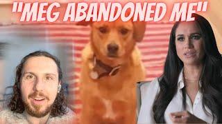 Reacting To Meghans ABANDONED rescue dog Promo Video