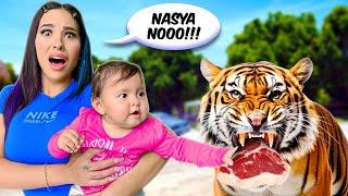 NASYA POR PRIMERA VEZ EN UN ZOOLÓGICO *Alimento animales salvajes* 