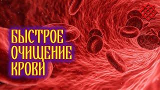 Очищение крови в домашних условиях. Народные средства для чистки крови