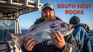 South West Rocks Pearl Perch Snapper and Tuskies