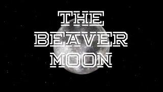 The Beaver Moon A Farewell to Novembers Full Moon