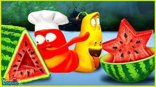 Larva Tuba 20224 Food Shaping  Cartoon Movies Top 50 Episode Mini Series From Animation Larva