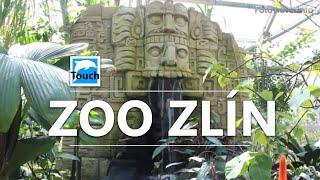 Zoo Zlín - Lešná  Czech Republic #TouchCzechia