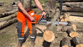 Stihl vs Husqvarna - Chainsaw Comparison #Firewood