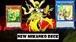 YGOPROnew Mikanko deckArahime the Manifested MikankoDuelist Nexus