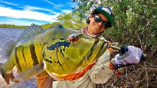 Pesca de Tucunare GIGANTE en Sudamérica  COLOMBIA 2